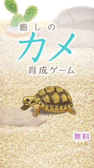 治愈的龟养成免费版1