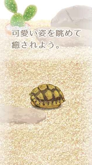 治愈的龟养成免费版2