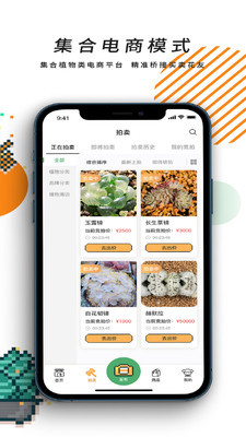一植拍最新版2