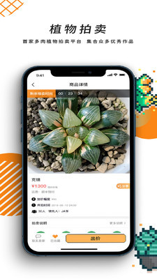 一植拍最新版3