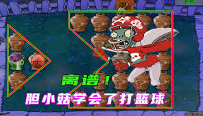 一群小怂鸡合集