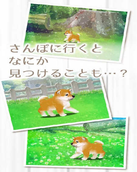 治愈系柴犬育成免费版1
