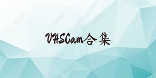 VHSCam合集