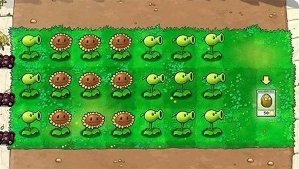 植物大战僵尸天空支线最新版3