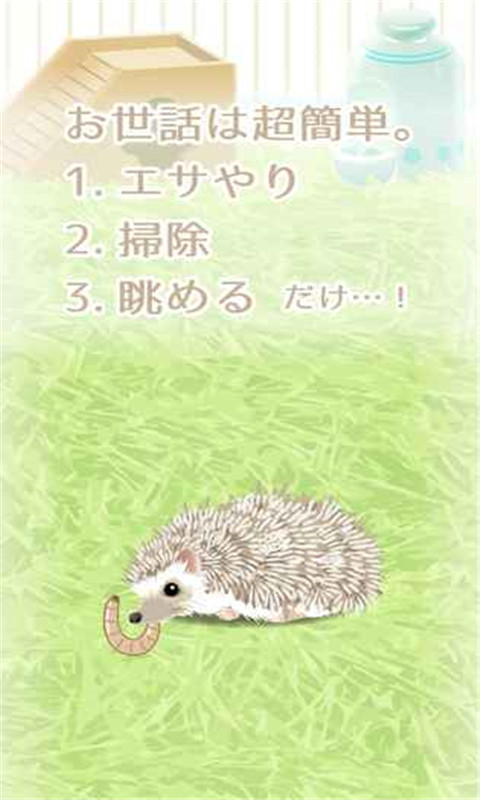 治愈的鹦鹉育成安卓版2