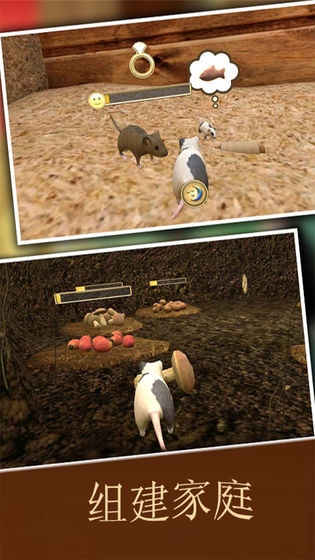 疯狂地鼠3d模拟游戏2