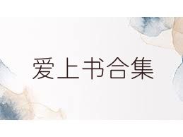 爱上书合集