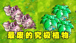植物君合集