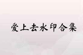 爱上去水印合集