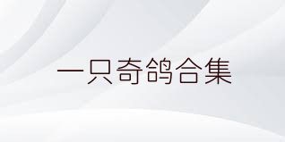 一只奇鸽合集