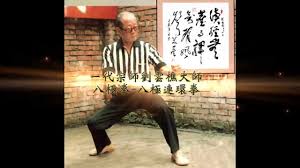 一招致胜合集