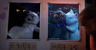 一只猫影视合集