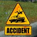 模拟车祸游戏2手机