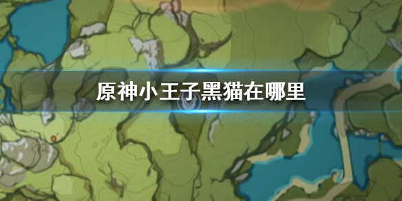 原神小王子黑猫所在地方一览