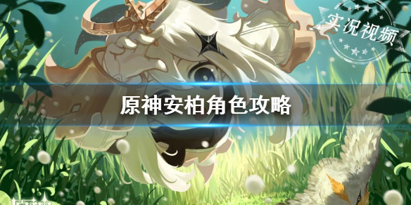 原神安柏培养技巧分享