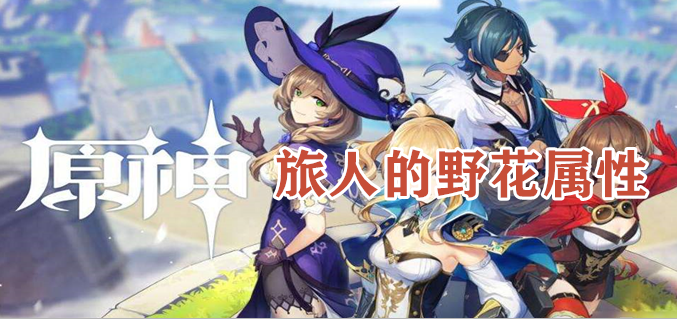 原野旅人的野花属性怎么样