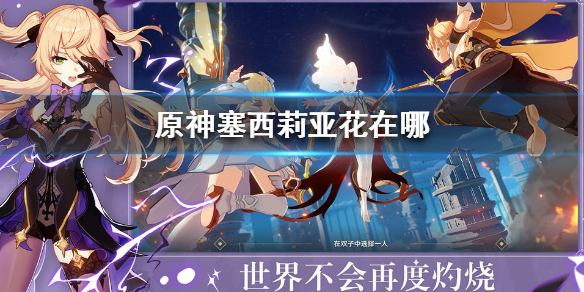 原神塞西莉亚花所在地点一览