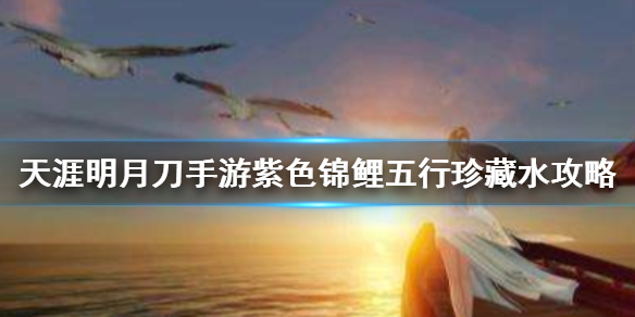 天涯明月刀手游奇遇任务五行藏珍水开启条件分享