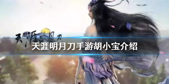 天涯明月刀手游胡小宝NPC攻略分享