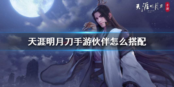 天涯明月刀手游伙伴搭配攻略分享